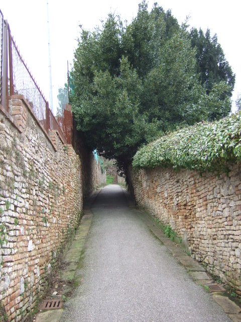 e0104154_8444350.jpg