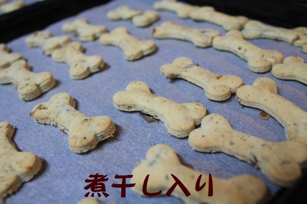 白クッキー焼けました 走れ健太