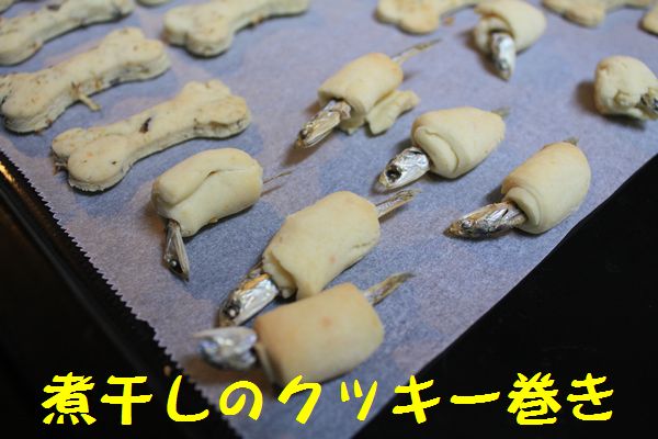 白クッキー焼けました 走れ健太