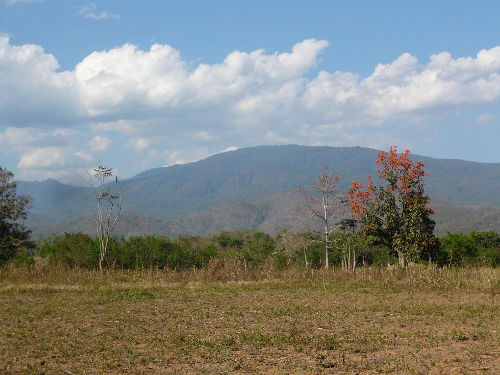 f0178278_19235736.jpg