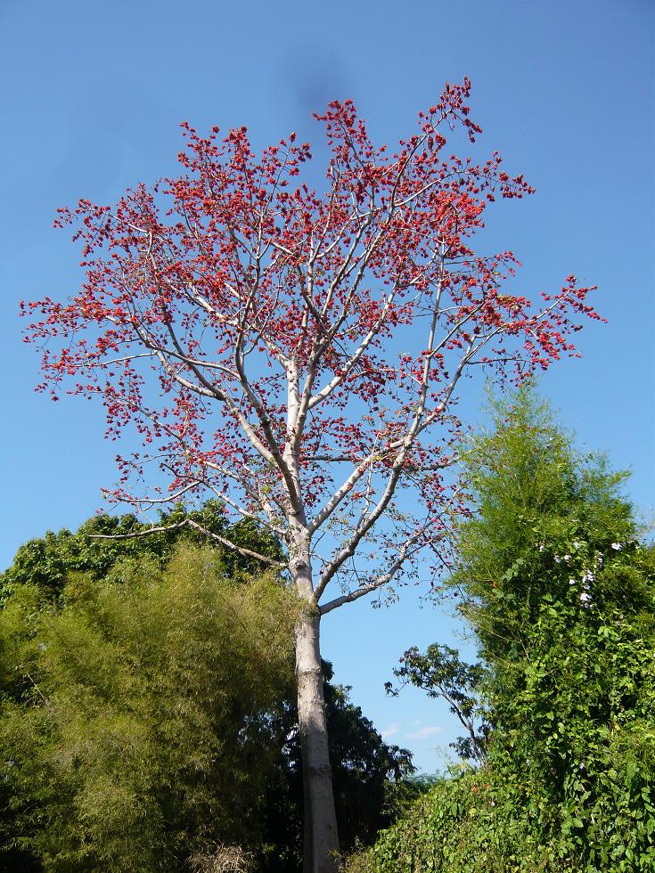f0178278_1924508.jpg