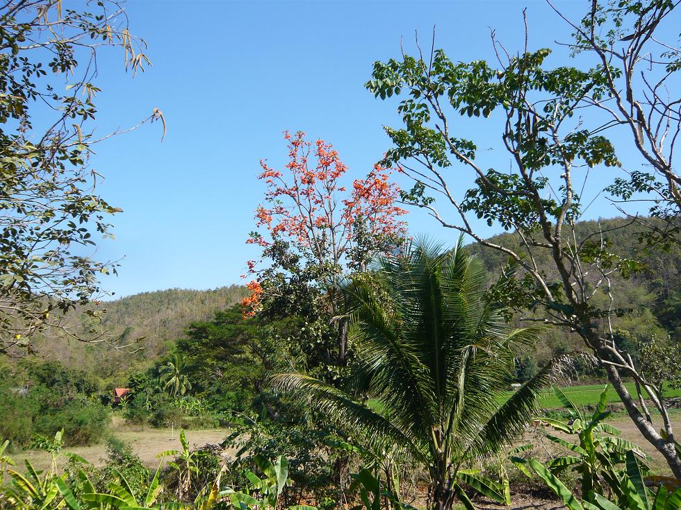 f0178278_1942250.jpg