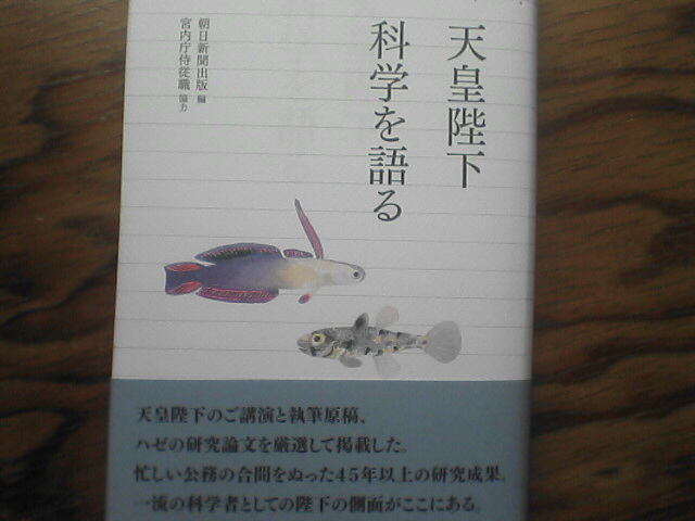 c0069380_12242865.jpg