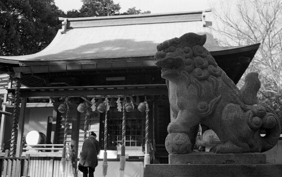 星川　杉山神社。_b0112584_0521662.jpg