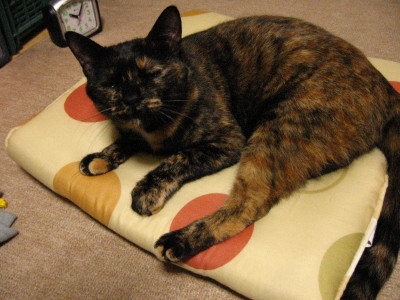 f0091785_20152125.jpg
