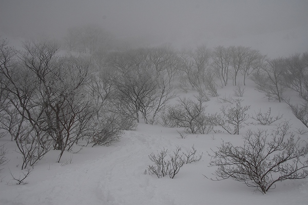 ホワイトアウトの赤坂山へ③_f0073587_1634340.jpg