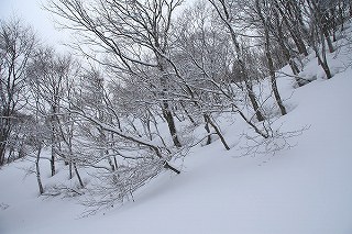 ホワイトアウトの赤坂山へ③_f0073587_16404836.jpg