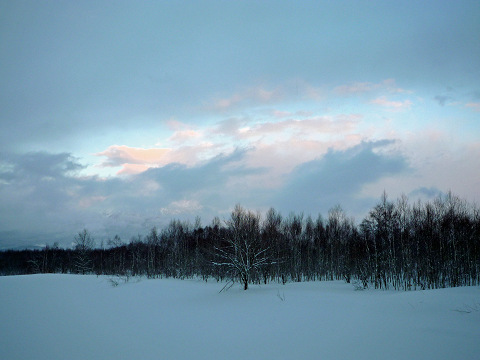 c0215091_2148492.jpg