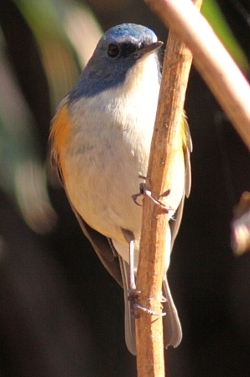 d0133693_22504340.jpg