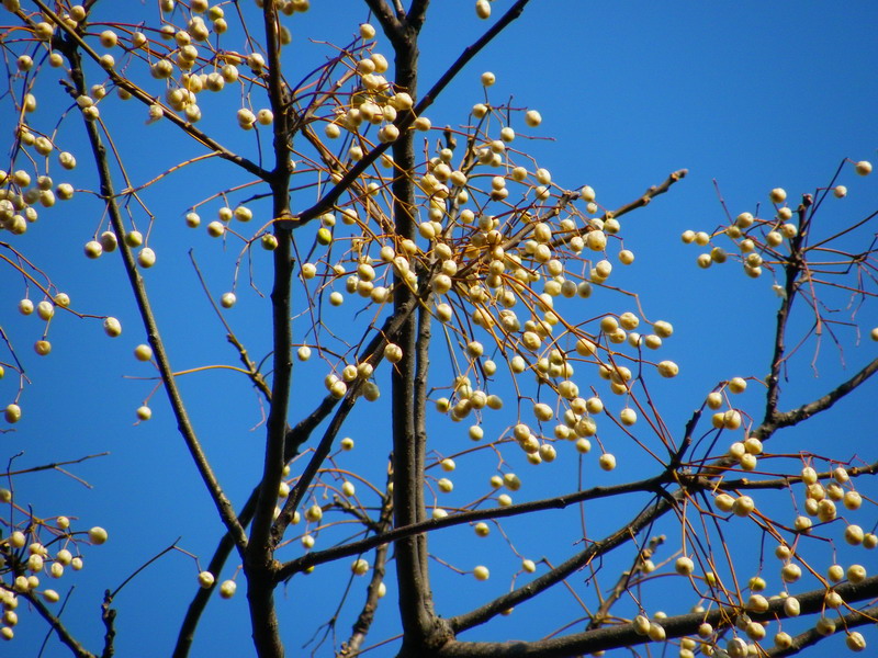 f0204094_1521630.jpg