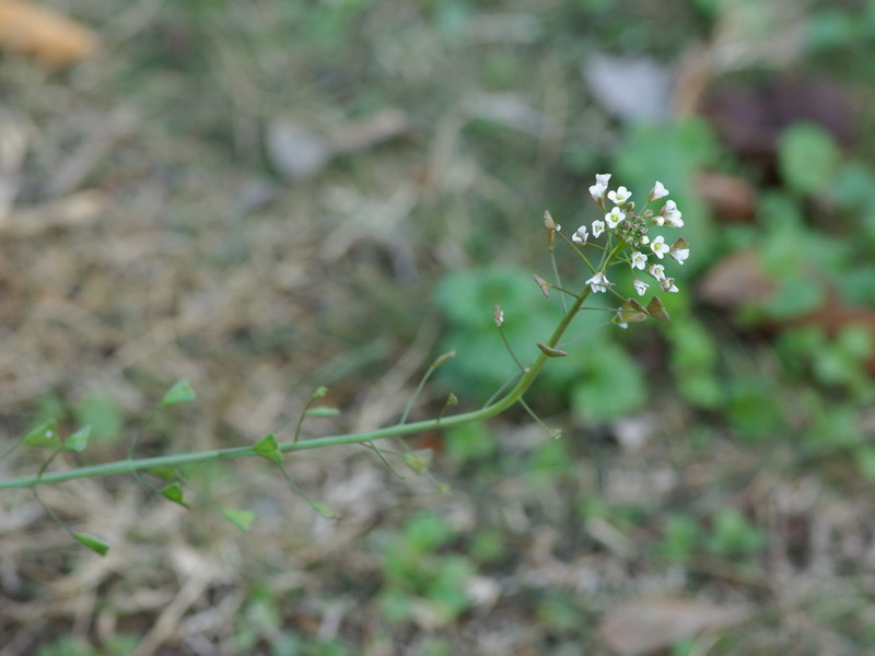f0204094_1562011.jpg