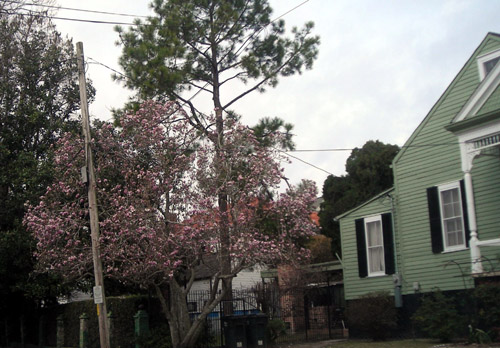 d0000995_934244.jpg