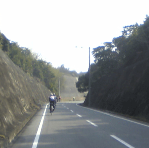 b0174996_21522777.gif