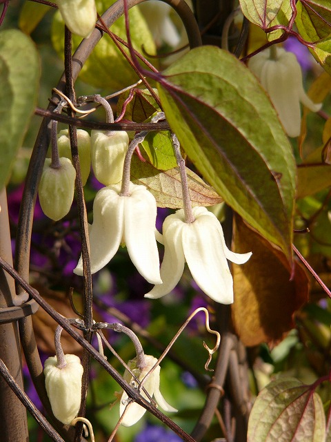 a0123003_19345377.jpg