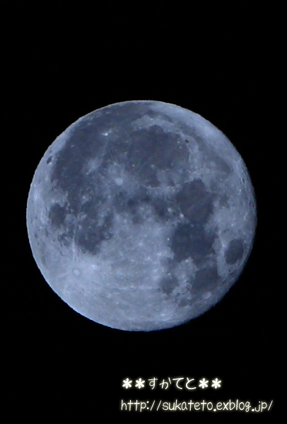 e0022303_95389.jpg