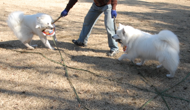 神場公園　　　　1月30日　　[土]_e0018604_13151041.jpg