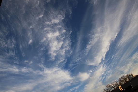 一週間の空～_c0083210_8163167.jpg