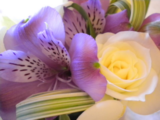c0229312_10233412.jpg