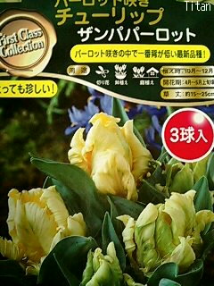b0099813_1195591.jpg