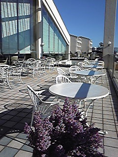 c0088437_0512616.jpg