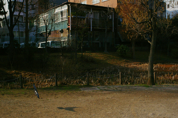 c0090139_22332931.jpg