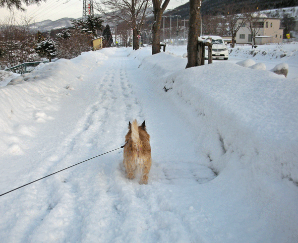 c0147548_2135344.gif