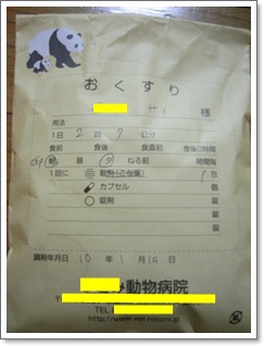 サイが残していったもの_c0049950_17292620.jpg