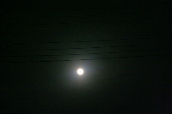 e0126350_22265063.jpg