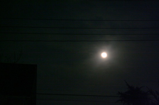 e0126350_22272426.jpg