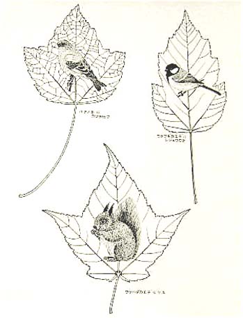 『 木の葉絵 』 落ち葉　木の葉　　カワラヒワ、シジュウカラ、ニホンリス、ハナノキ_a0083553_7375113.jpg