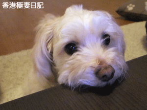 f0190653_2118252.gif