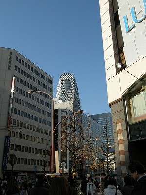 e0162959_2329599.jpg