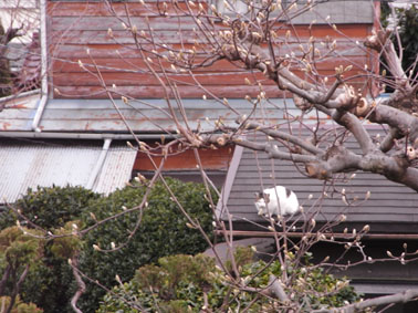 b0135360_176824.jpg