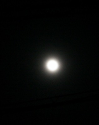 f0077662_14144473.jpg