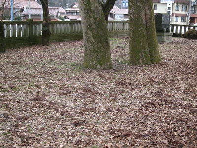 d0094868_19221025.gif