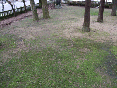 d0094868_19223751.gif