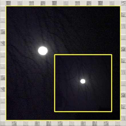 e0085772_04214.jpg