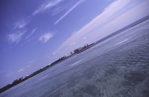 c0124773_2261753.jpg