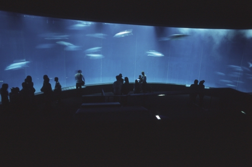c0124773_2262363.jpg