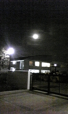 c0061774_8581816.jpg