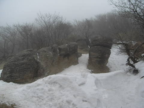 c0022275_21462374.jpg