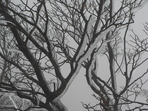 c0022275_21473886.jpg