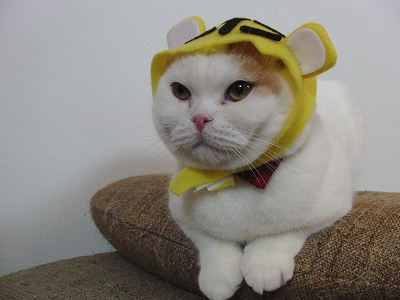 いよいよ一月もおわりですね_c0139575_171646.jpg