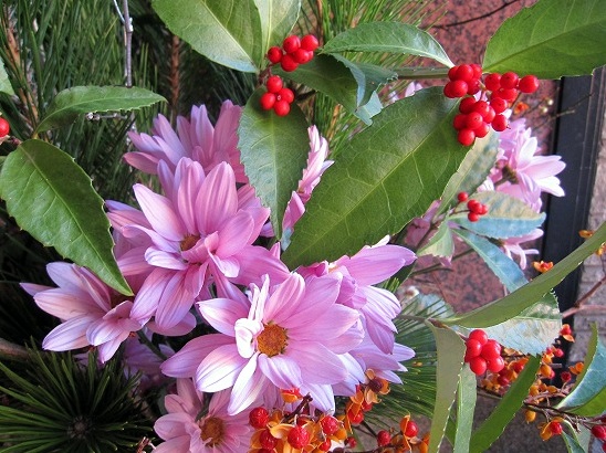 b0182884_032361.jpg