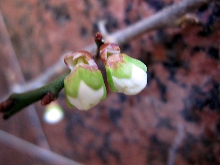 b0182884_034221.jpg