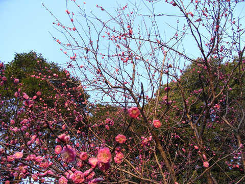 b0078188_17233782.jpg