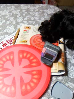 c0037701_0473629.jpg