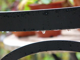 a0123003_17271493.jpg