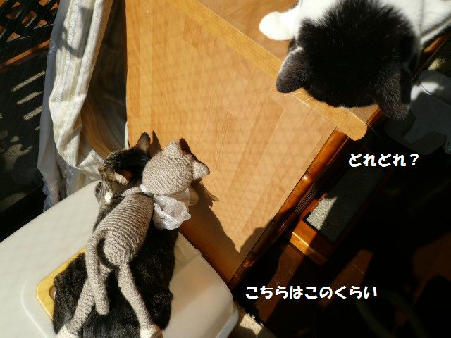 e0094407_0265163.jpg