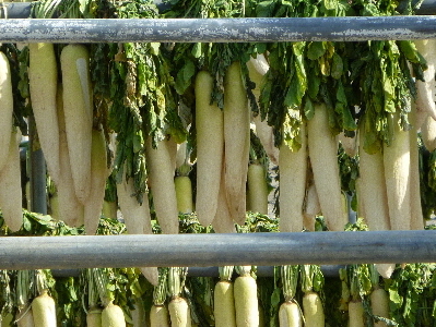 a0161111_1910932.jpg